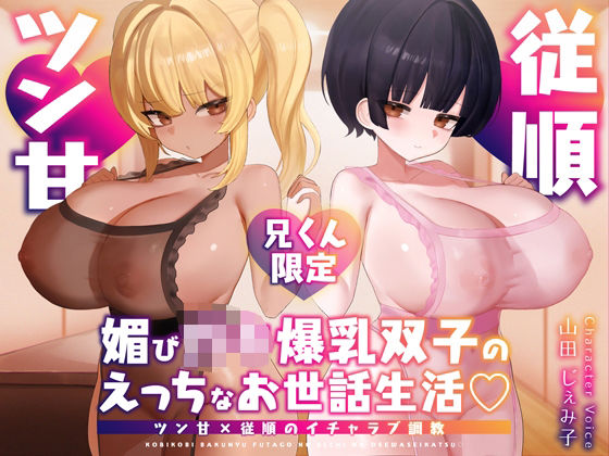 【兄くん限定】媚び〇キ爆乳双子のえっちなお世話生活（はーと） ツン甘×従順のイチャラブ調教【KU100】❤辱め｜d_582529