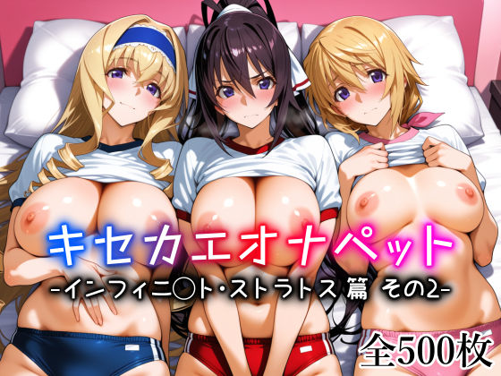 キセカエオナペット -インフィニ◯ト・ストラトス篇 その2-❤メイド｜d_761699